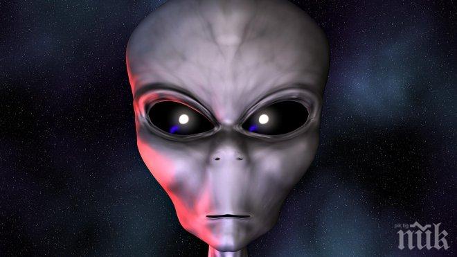 Мексиканец заби колелото си в храстите, за да избяга от... извънземни