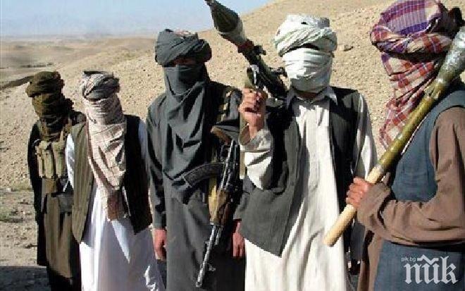 Външният министър на Австрия призова за безпощадна борба срещу Ислямска държава
