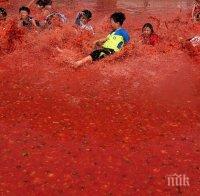 Днес е празник на домата