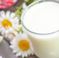 БАБХ започва масови проверки за нерегламентирана търговия с мляко