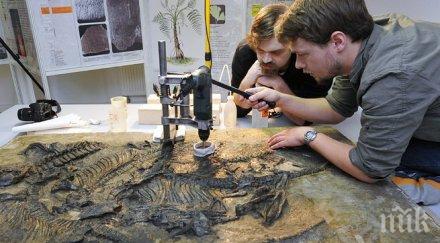 учени откриха първото цвете земята