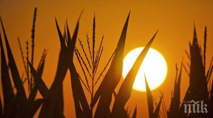 слънчево топло