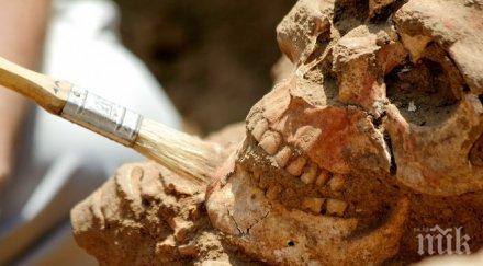 учени откриха доказателства масово клане 7000 европа