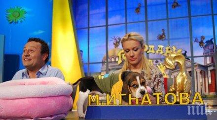 култовото куче господари ефира мизерства