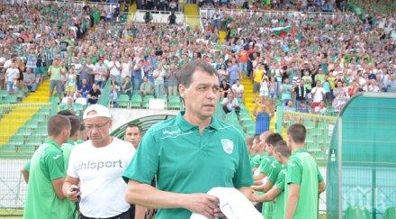 берое привлече ивелин илиев