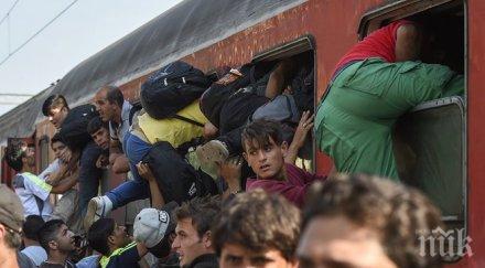 сърбия отхвърли идеята строеж стена границата македония