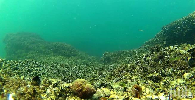 Да се рееш под водата