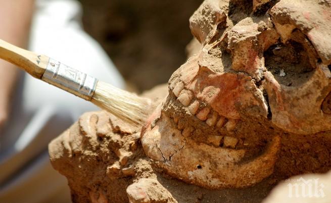 Учени откриха доказателства за масово клане преди 7000 г. в Европа