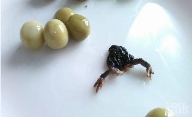 5-годишно китайско момиче хипнотизира животни с докосване