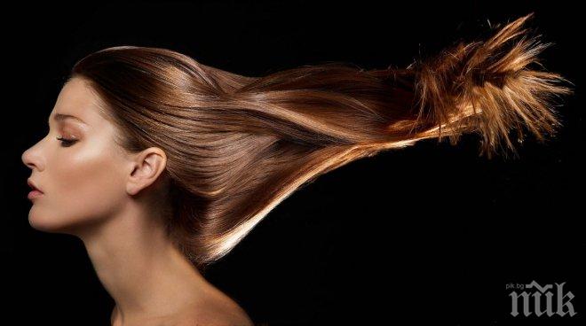 Разследват премиера на Нова Зеландия! Дърпал плитките на сервитьорка!
