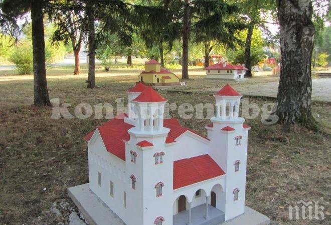 Берковица се събра на длан (снимки)