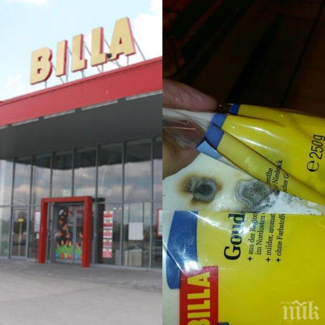 Ексклузивно в ПИК! Жестока гавра с клиентите в Билла! Продават мухлясало сирене Гауда на клиентите си! (потресаващи снимки)