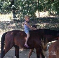 Учат безплатно деца на конен спорт
