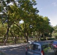 Разширяват пътя към капаните в бургаската морска градина
