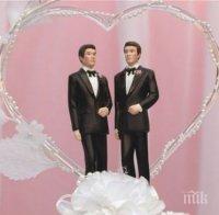 Близо 70% от католиците в Германия подкрепят еднополовите бракове