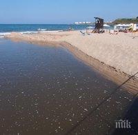 Забраняват къпането на централния плаж в Лозенец заради замърсяване