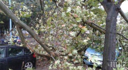 клон смаза две коли пловдив 112 мълчи видео снимки