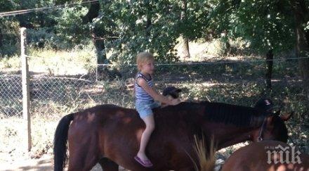 учат безплатно деца конен спорт