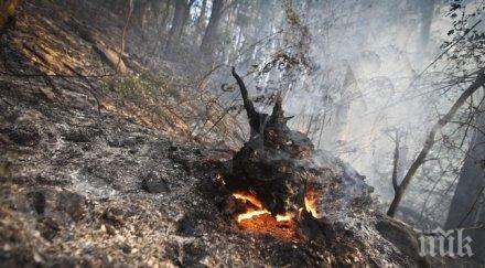 търсят доброволци гасене пожари