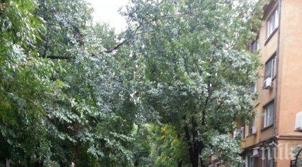 пороя пловдив половинметрови локви закъсали автобуси маршрутки