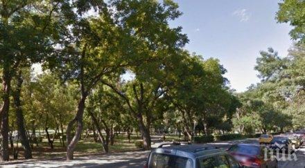 разширяват пътя капаните бургаската морска градина