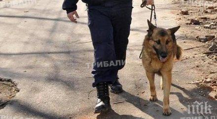 ченгетата монтана търсиха изчезнали хора