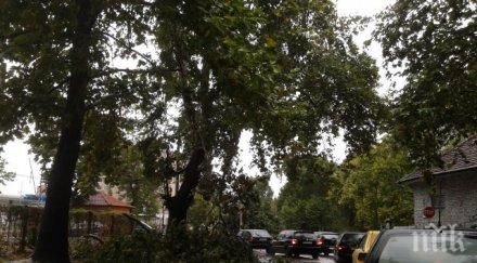 обстановката пловдив подобрява