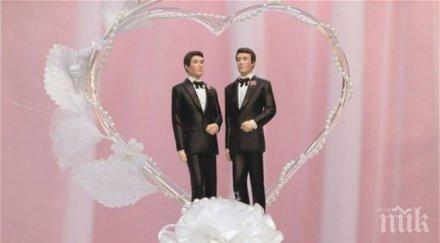 близо католиците германия подкрепят еднополовите бракове