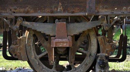 русия загина тинейджър зацепер