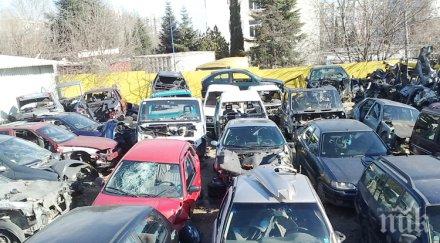 гледат лупа автоморгите перник