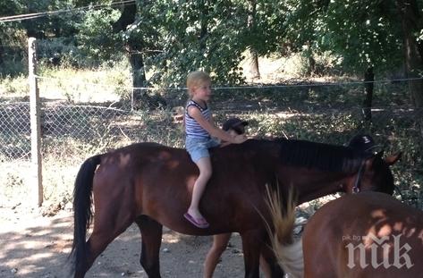 Учат безплатно деца на конен спорт