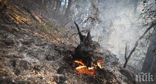 Търсят доброволци за гасене на пожари
