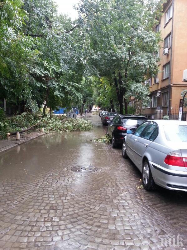 След пороя в Пловдив: Половинметрови локви, закъсали автобуси и маршрутки
