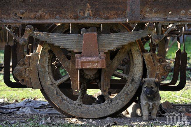 В Русия загина тинейджър зацепер