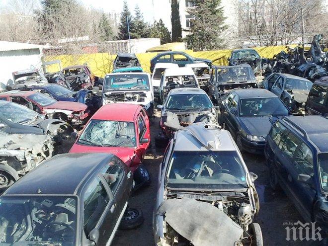 Гледат под лупа автоморгите в Перник