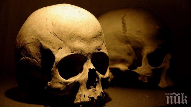 Мексикански археолози откриха стена от черепи