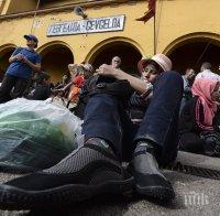 Пуснаха малка група бежанци в Македония