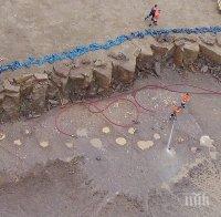 Откриха следи от 30-тонен динозавър, живял преди 145 млн. години