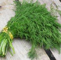 Копърът възбужда апетита

 