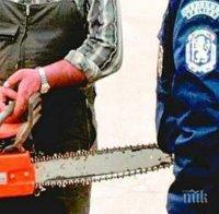 Странно! Крадец задигна моторен трион