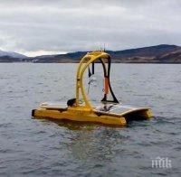 Учените решиха да разгадаят защо в Келтско море има толкова хищници
