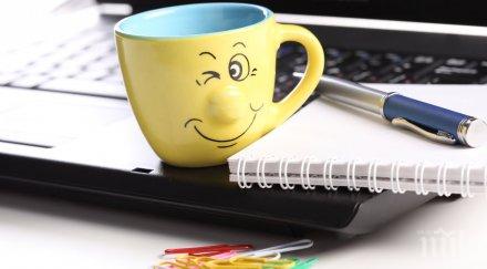 дом приказката правят стражица