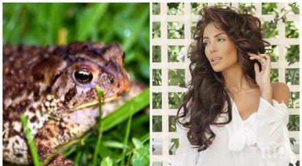 ловяла жаби голи ръце