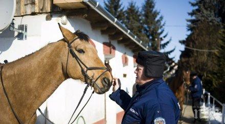 зъл кон навлече дело полицията йорк