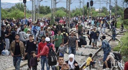 сърбия разреши влизането 5000 бежанци македония