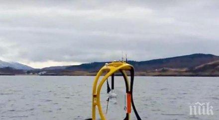 учените решиха разгадаят келтско море толкова хищници