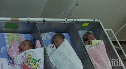 рекордьор дупничанка роди ото дете секс учител заплащане дава осиновяване 2000