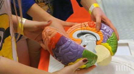 учени препаратът подобряване мозъчната дейност безопасен