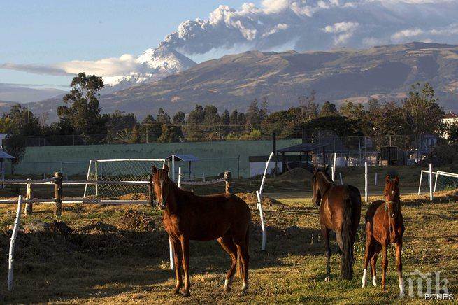 Вулкан в Еквадор изхвърля пепел след 138 години мълчание