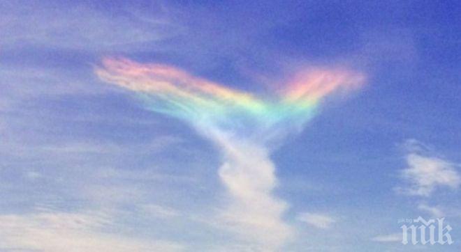 Рядка огнена дъга се появи в небето (снимки)